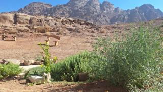 Dar Eid mountain lodge - 7