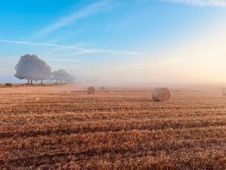 wschód nad polaną 17 - 3