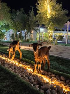 Valley View farm - 4