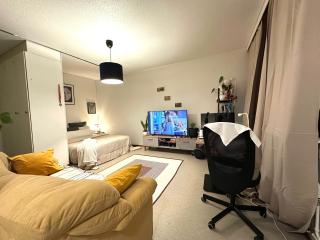 C's old-studio, easy access to Helsinki-Vantaa airport - 7