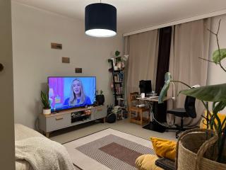 C's old-studio, easy access to Helsinki-Vantaa airport - 0