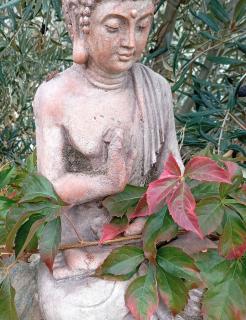 Alojamiento Rural Casa Fortuna - 7