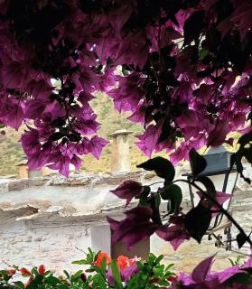 Alojamiento Rural Casa Fortuna - 5