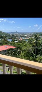 Tropical Harbour View - 2