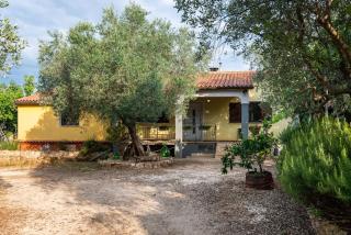 Rovinj Countryside Pool Privacy Olive Garden - 9