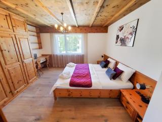 Luxuriöses Penthouse in Davos modern hochwertig - 7