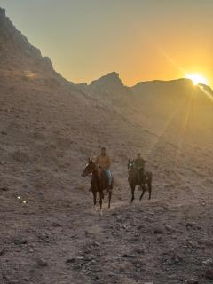 Wadi Rum chalets - 3