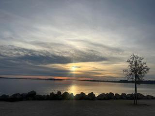 L’escale enchantée - Bouzigues - 7