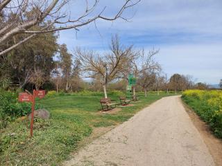 בדרך לנחל - 9