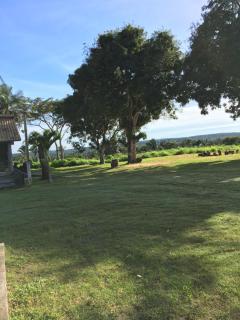 Genipapo eco park - 1