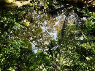 Guest House Pura Vida - 5