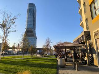 Gallery Mall View-studio - 8