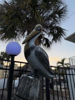 Holiday Isles Resort - 8