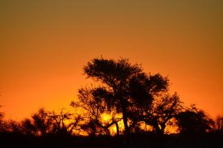 Neuhof portion 2campsite - 5