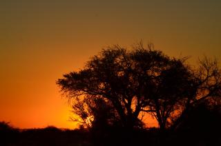 Neuhof portion 2campsite - 4