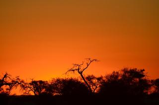 Neuhof portion 2campsite - 3