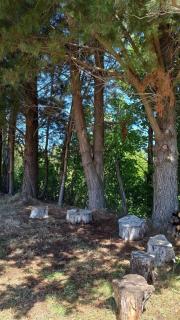 Cabaña 4 Acogedora en un entorno natural - 4