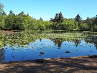Secluded Pool Retreat - By Traum Ferienwohnungen - 5