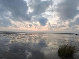 Luxury Retreat with Pool - By Traum Ferienwohnungen - 3