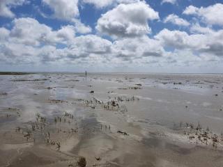 Luxury Retreat with Pool - By Traum Ferienwohnungen - 2