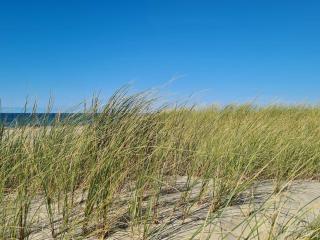 Secluded Beach Retreat in Rodhus-By Traum - 7