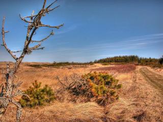 Secluded Beach Retreat in Rodhus-By Traum - 3