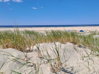 6 person holiday home in Rømø - 1