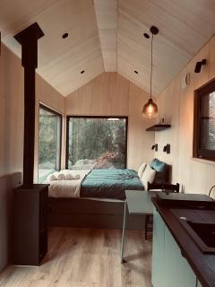 TogetherNest - Cedar - Mătişeşti - 2