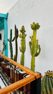 Private - Riad Désiré Marrakech - 4