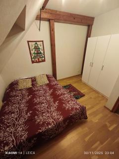 appartement tropical Erstein - 6