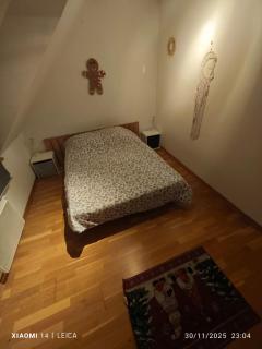 appartement tropical Erstein - Erstein - 7