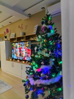 Aura Apartment Vračar Central - Belgrade - 7