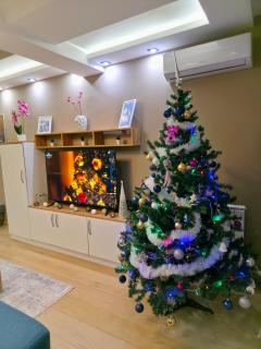 Aura Apartment Vračar Central - Belgrade - 5