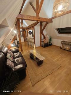 appartement tropical Erstein - 9