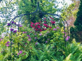 Haus Haselmaus - Zaunkönig - 6