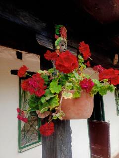 Country Apartment - 4