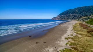 Sea Mist MCA 50628 - 6