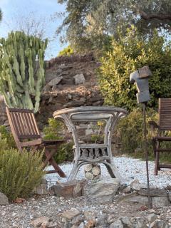 Vino y arte del sol - 1