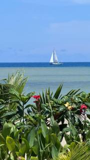 Buddy's Beach House Sipalay - 0