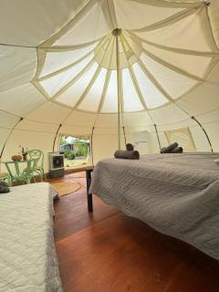 Eco Glamping Ataraxia - 4