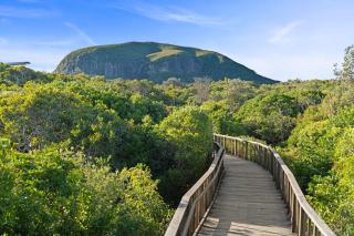 Driftwood Duo - Mount Coolum Townhouses - 6
