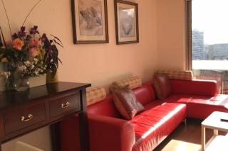 Monthly 2B Apt near Mel Central Chinatown - 8