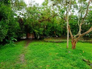 Casa El Trapiche de Mindo - 6