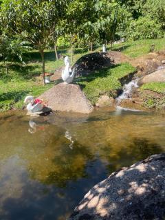 Sítio Recanto da Serra Tranquilidade e Natureza em São Francisco Xavier - 2