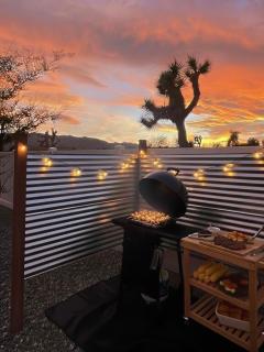 Zenity Joshua tree - 9