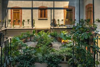 Downtown Heritage Retreat CDMX - 9