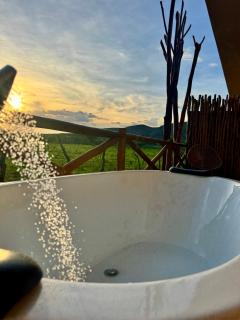 Sertão do Luar - Jurubeba - 9