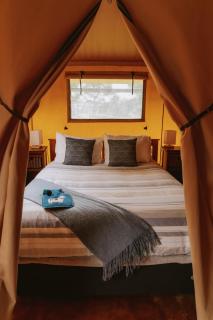 Raglan Rural Retreats - Rimu Tent - 5