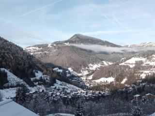 2 pièces avec lave-linge, parking et balcon - St Jean d'Aulps - FR-1-573-148 - 1