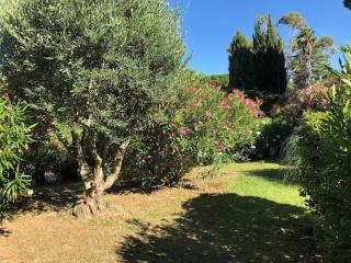 Studio Saint Clair pieds dans l'eau - 4